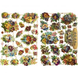 Vintage Die-Cuts, pansy, 16,5x23,5 cm, 2 sheet/ 1 pack [HOB-19355]