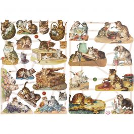 Vintage Die-Cuts, cats, 16,5x23,5 cm, 2 sheet/ 1 pack [HOB-19357]