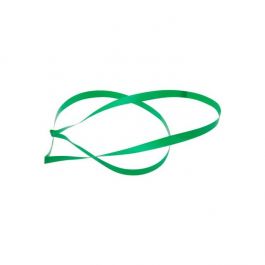 Decorative Loops Vinyl Stretch Green 50.8cm (50 pieces) [20CVLGR]