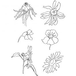 Clear Stamps, summer, 11x15,5 cm, 1 sheet [HOB-240010]