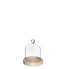 Glass dome with knob and wood base Ø10 h.12 cm (1 pc) [IFS-29311]