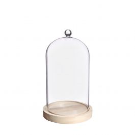 Glass dome with knob and wood base Ø14 h.23,5 cm (1 pc) [IFS-29314]