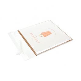 Plastic Bags 12x12 cm Transparent and reclosable (100 pcs) [KO-301212]