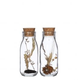 Milk bottle with several dried flowers natural 14cm high (12 pcs.) [IFS-30391]