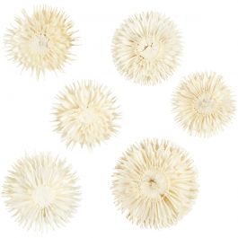 Dried Flower Heads, dia. 3-5 cm, 6 pc/ 1 pack [HOB-50204]
