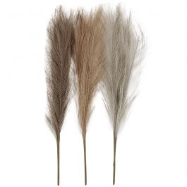 Pampas grass, L: 50 cm, light beige, light brown, light grey, 3 pc/ 1 bundle [HOB-50205]