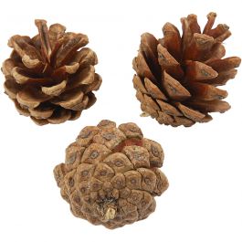 Pine Cones, D: 40 mm, 200 g/ 1 pack [HOB-502260]