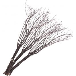 Birch Branches, L: 50-60 cm, 20 pc/ 1 pack [HOB-50240]