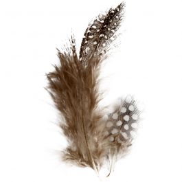 Guinea fowl feathers, brown, 3 g/ 1 pack [HOB-51812]