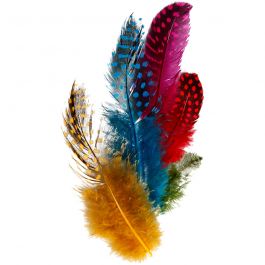 Guinea fowl feathers, assorted colours, 3 g/ 1 pack [HOB-51813]