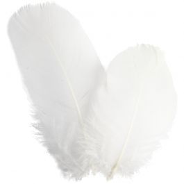 Goose feathers, round [HOB-51816]