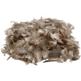 Guinea fowl feathers, natural, 50 g/ 1 pack [HOB-51822]
