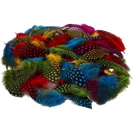 Guinea fowl feathers, assorted colours, 50 g/ 1 pack [HOB-51823]
