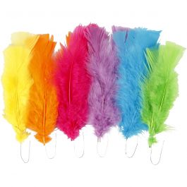 Feathers, assorted colours, L: 11-17 cm, 18 bundle/ 1 pack [HOB-518460]