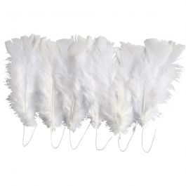 Feathers, white, L: 11-17 cm, 18 bundle/ 1 pack [HOB-51847]