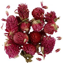 Dried flowers, purple, Red clover, L: 1,5-2,5 cm, D: 1 - 1,5 cm, 1 pack [HOB-709502]