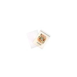 Plastic Bags 29x36cm Transparent Peel and Seal (100 pieces) [B11]