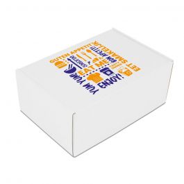 Take-away boxes 22,5x15x9cm White (50 pcs) [FP-DP0211]