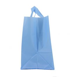 Snackbags 21+15x19cm Blue (250 pcs) [FP-DQL017]