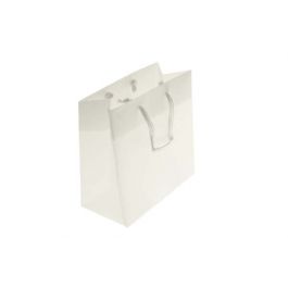 Gift Bags 22x7.6x27cm with carrying Cords (10 pieces) [G8FT1]