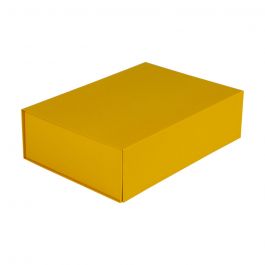 Magnet boxes 35x25x10cm Ochre Yellow (25 pcs) [FP-VPD132]