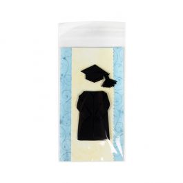 Plastic Bags 9,7x16,8 cm Transparent Peel and Seal (100 pieces) [B3X6XL]