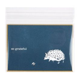Plastic Bags 13.5x9.2cm Transparent Peel and Seal (100 pieces) [B53XL]