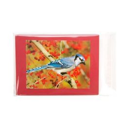 Plastic Bags 14.6x19.7cm Transparent Peel and Seal (100 pieces) [B57M]