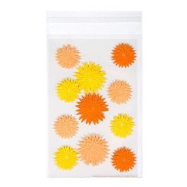 Plastic Bags 14.5x21.8cm Transparent Peel and Seal (100 pieces) [B59S]