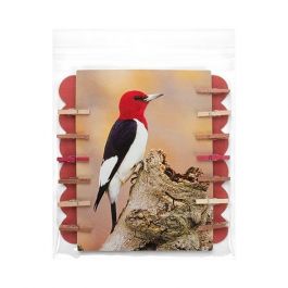 Plastic Bags 14.5x14.1cm Transparent Peel and Seal (100 pieces) [B5X5M]