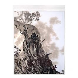 Plastic Bags 28.6x35.9cm Transparent Peel and Seal (100 pieces) [B11S]