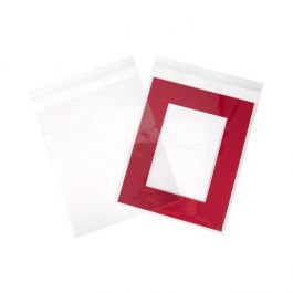 Plastic Bags 21.4x26cm Transparent Peel and Seal(250 pieces) [VL108]