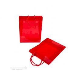Gift Bags 22x7.6x27cm with carrying Cords (10 pieces) [G8RD1]