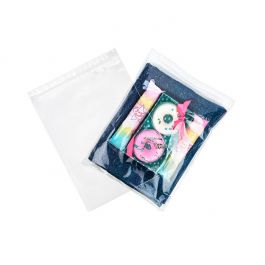 Grip Seal Bags with Hang hole 25.5x33cm Crystal Clear PP 50 micron (100 pieces) [ZR1013]