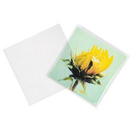 ECO-friendly Bags 17x16.7cm Sealable (100 pieces) [GC6X6MNF]