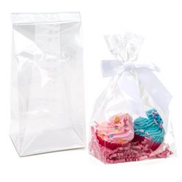 Block Bottom Bags Clear 10.2x6.4x20.3cm with paper insert (100 pieces) [FGPBH4]