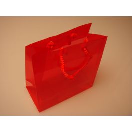 Gift Bags 16x7.6x16cm with carrying Cords (10 pieces) [G66RD1]