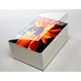 Plastic Gift Boxes 18.1x13x7.6cm Crystal Clear with Autolock Bottom (25 pieces) [FPLB213]