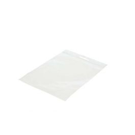 Grip Seal Bags with Euroslot 18x18 Crystal Clear PP 50 micron (100 pieces) [ZE77]