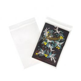 Plastic Bags 21.3x30.3cm Transparent and reclosable (100 pcs) [KO-30159]