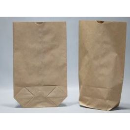 100 shop paper bags