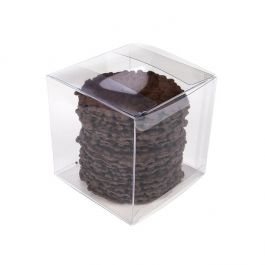 rPET Crystal Clear Box 10.2x10.2x10.2 cm (25 pieces) [FB56R]