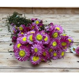 Dried Flowers Natural Pink Acroclinium (1 Bundle) [RU-00021.000.9]