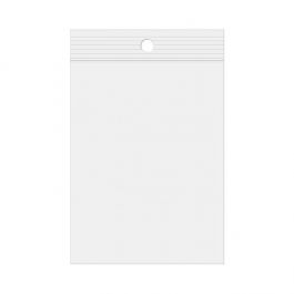 Grip Seal Bags 40x50mm with Hang Hole, PE 50 micron (100 pcs) [2PR1H2]